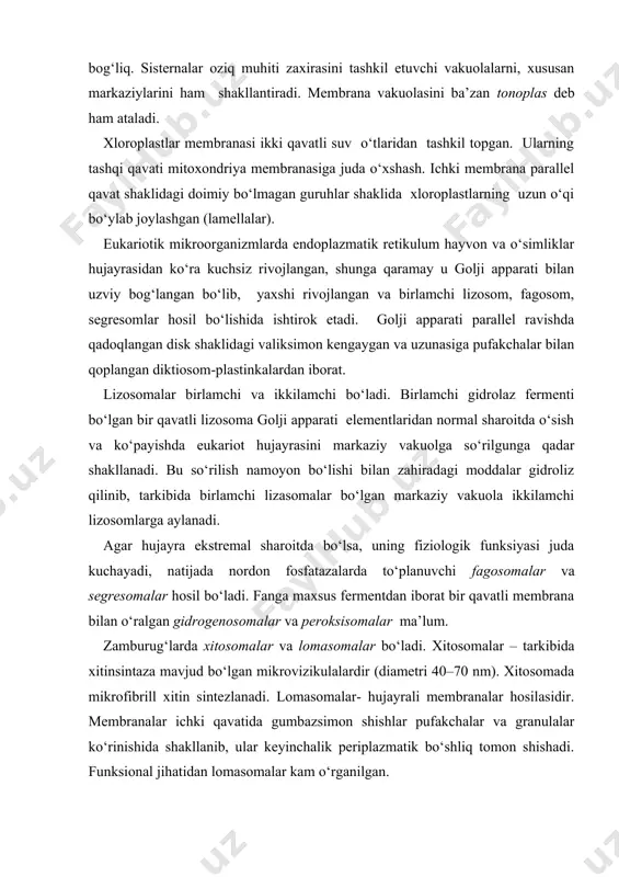 ngaygan va uzunasiga pufakchalar bilan qoplangan diktiosom-plastinkalardan iborat. lizosomalar birlamchi va ikkilamchi bo‘ladi. birlamchi gidrolaz fermenti bo‘lgan bir qavatli lizosoma golji apparati elementlaridan normal sharoitda o‘sish va ko‘payishda eukariot hujayrasini markaziy vakuolga so‘rilgunga qadar shakllanadi. bu so‘rilish namoyon bo‘lishi bilan zahiradagi moddalar gidroliz qilinib, tarkibida birlamchi lizasomalar bo‘lgan markaziy vakuola ikkilamchi lizosomlarga aylanadi. agar hujayra ekstremal sharoitda bo‘lsa, uning fiziologik funksiyasi juda kuchayadi, natijada nordon fosfatazalarda to‘planuvchi fagosomalar va segresomalar hosil bo‘ladi. fanga maxsus fermentdan iborat bir qavatli membrana bilan o‘ralgan gidrogenosomalar va peroksisomalar ma’lum. zamburug‘larda xitosomalar va lomasomalar bo‘ladi. xitosomalar – tarkibida xitinsintaza mavjud bo‘lgan mikrovizikulalardir (diametri 40–70 nm). xitosomada mikrofibrill xitin sintezlanadi. lomasomalar- hujayrali membranalar hosilasidir. membranalar ichki qavatida gumbazsimon shishlar pufakchalar va granulalar ko‘rinishida shakllanib, ular keyinchalik periplazmatik bo‘shliq tomon shishadi. funksional jihatidan lomasomalar kam o‘rganilgan. kapsulalar shakllanishida prokariotlarning quyidagi turlari - leykonostoklar (leuconostoc mesenteroides), pnevmokokklar (streptococcus pneumoniae), turli batsillalar (bac.licheniformis), tuproq tarkibidagi ba’zi erkin yashovchi, azotdan …
