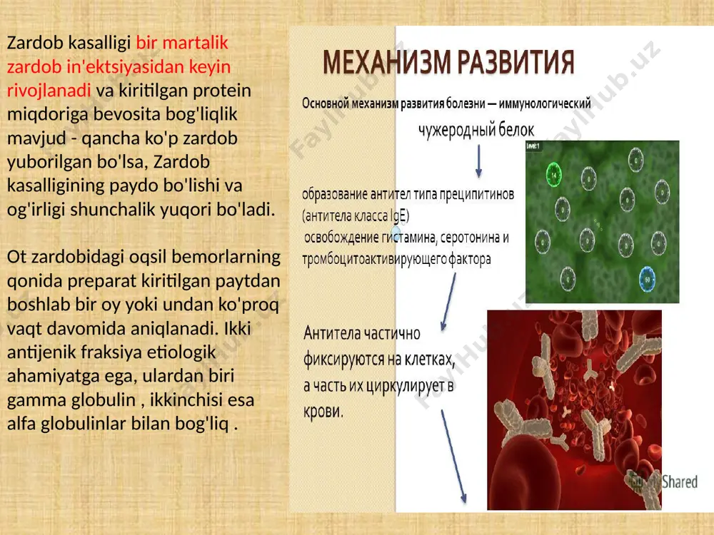 qolgan zardob bilan o'zaro ta'sir qiluvchi o'ziga xos igg . bunday hollarda zardob qonda qolsa, kasallik bir necha hafta davom etishi mumkin. diagnostika avvalo, zk tashxisi kasallik tarixiga asoslanadi . s tizimli kasalliklardan - revmatizmdan, tizimli qizil yugurukdan, periarterit nodosadan farqlanishi kerak. alomatlar rivojlanishi davrida aylanma immun komplekslari soni ortadi, gipergammaglobulinemiya va komplement titrining pasayishi aniqlanadi. qonda kasallikning balandligida mo''tadil leykotsitoz mavjud, ko'pincha eozinofiliya , plazma hujayralari mumkin, esr o'rtacha darajada oshadi. siydikda ba'zida engil yoki o'rtacha proteinuriya va gematuriya kuzatiladi , og'irroq hollarda gialin to'qimalari aniqlanadi. terining ta'sirlangan hududlarini biopsiya qilishda neytrofillar, limfotsitlar, eozinofillar va immun komplekslarining konlari infiltratsiyasi bilan davolash engil zk uchun antigistaminlar va klinikaga qarab simptomatik dori-darmonlarni buyuring. o'rtacha og'ir holatlarda antigistaminlar in'ektsiyalari va kortikosteroidlar kursi, shuningdek simptomatik terapiya buyuriladi. og'ir holatlarda kortikosteroidlar bilan ko'proq mazkiv va uzoq muddatli terapiya talab qilinadi, klinik ko'rinishlarga qarab turli xil simptomatik terapiya, shuningdek gemosorbsiya . oldini olish zk ni …