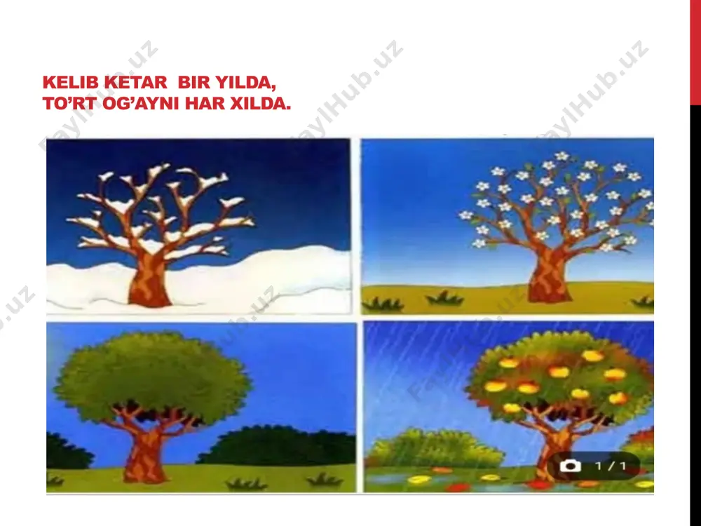 yilfasllari - Page 3