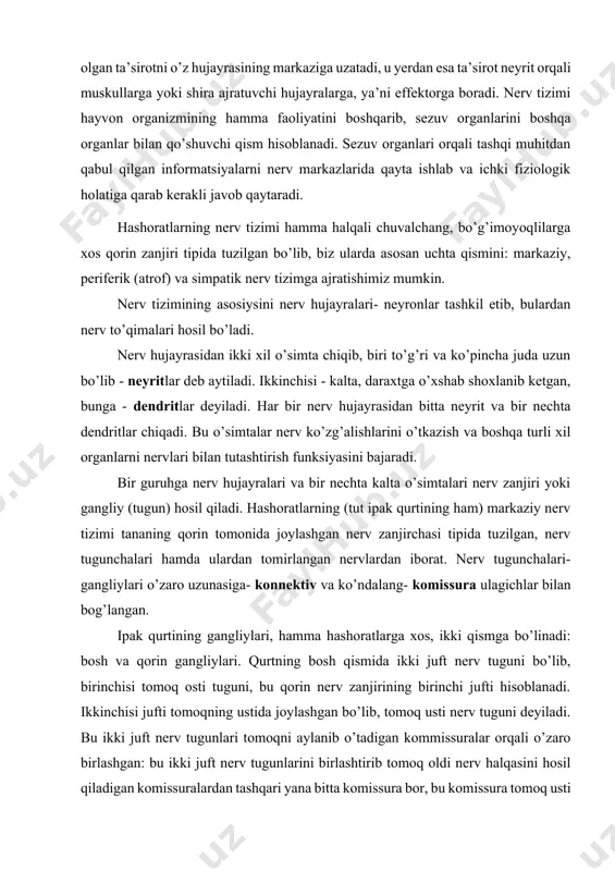orat bo’lishi mumkin. bu hujayraning dendritlari ta’sirot hosil bo’ladigan hujayralar bilan, neyriti esa muskullar yoki shira ajratuvchi hujayralar bilan bog’liq bo’ladi. bunda dendiritlar repseptoridan olgan ta’sirotni o’z hujayrasining markaziga uzatadi, u yerdan esa ta’sirot neyrit orqali muskullarga yoki shira ajratuvchi hujayralarga, ya’ni effektorga boradi. nerv tizimi hayvon organizmining hamma faoliyatini boshqarib, sezuv organlarini boshqa organlar bilan qo’shuvchi qism hisoblanadi. sezuv organlari orqali tashqi muhitdan qabul qilgan informatsiyalarni nerv markazlarida qayta ishlab va ichki fiziologik holatiga qarab kerakli javob qaytaradi. hashoratlarning nerv tizimi hamma halqali chuvalchang, bo’g’imoyoqlilarga xos qorin zanjiri tipida tuzilgan bo’lib, biz ularda asosan uchta qismini: markaziy, periferik (atrof) va simpatik nerv tizimga ajratishimiz mumkin. nerv tizimining asosiysini nerv hujayralari- neyronlar tashkil etib, bulardan nerv to’qimalari hosil bo’ladi. nerv hujayrasidan ikki xil o’simta chiqib, biri to’g’ri va ko’pincha juda uzun bo’lib - neyritlar deb aytiladi. ikkinchisi - kalta, daraxtga o’xshab shoxlanib ketgan, bunga - dendritlar deyiladi. har bir nerv …