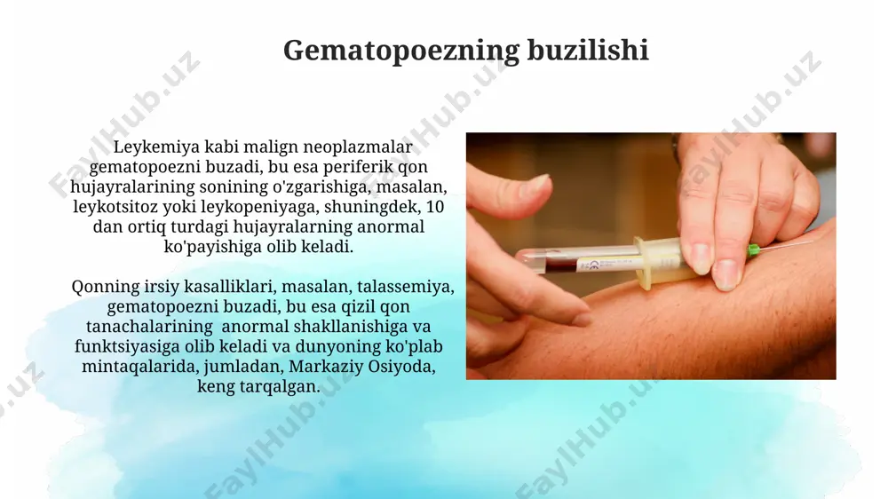 a hosil bo’ladi. limfotsitlarning rivojlanishi timus bezida (ko’krak qafasi mintaqasida) va boshqa limfoid to’qimalarda, masalan, taloqda, sodir bo’lib, immunitet tizimining 50% dan ortiq qismini tashkil etadi. gematopoezning klinik ahamiyati suyak iligidagi gematopoez jarayonining buzilishi, 100000 kishidan 15-20 tasida uchraydigan aplastik anemiya kabi jiddiy holatlarga olib kelishi mumkin, bu esa o'zbekistonning shifoxonalarida muolaja qilinadi. gematopoez buzilishi, masalan, leykemiya kabi kasalliklarning rivojlanishiga olib kelishi mumkin, dunyo bo'ylab yiliga 400 000 dan ortiq holatlar qayd etiladi va bu samarqanddagi onkologiya markazining statistikasida ham tasdiqlanadi. gematopoezning tartibga solinishi gematopoez jarayonida 10¹² ga yaqin hujayralar kuniga hosil boʻladi va bu murakkab, koʻp bosqichli regulyatsiyaga ega boʻlgan, sitokinlar va oʻsish omillari ta’sirida sodir boʻladigan jarayondir. suyak koʻmigidagi gematopoetik poya hujayralari (gph) oʻz-oʻzini yangilash va koʻplab qon hujayralariga differentsiyalanish qobiliyatiga ega boʻlib, masalan, 3 ta asosiy qatorga: eritrotsitar, leykotsitar va trombotsitar qatorlarga boʻlinadi. eritropoez: qizil qon tanachalarining hosil bo'lishi eritropoetin gormoni, asosan buyraklar tomonidan ishlab chiqariladi va …