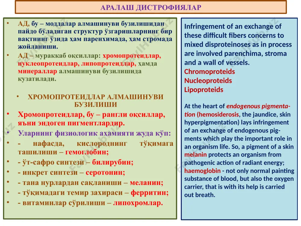 ади. sh-ферритин шок ҳолатларида, адреналиннинг антогонисти сифатида кўпаяди хромопротеидлар алмашинуви бузилиши classification endogenous pigments homoglobinogebnous, representing various derivatives of haemoglobin; proteinogenous (or tirozinogenous), connected with an exchange тирозина; lipidogenous (or lipopigments), formed at an exchange of fats. in this connection allocate the pigments formed in a blood channel (hematoporfirin, bilious pigments, a malarial pigment) and the pigments formed out of a blood channel (hemoseredine). шок – жигарда фаол sh-ферритин миқдори кўпайиши гемосидерин бу, гем парчаланганда коллоидли темир гидрооксиди кўринишида пайдо бўлади. моноцитар-макрофагал ҳужайралар ичида жойлашиб, оқсил, гликозамингликанлар ва липидлар билан бирикади. цитоплазмасида гемосидерин бор ҳужайралар – сидеробластлар дейилади. гемосидерин меёрда талоқ, жигар, суяк кўмиги, лимфа тугини ретикуляр ва эндотелий ҳужайраларида учрайди. гемосидерин алмашинуви бузилиши – гемосидероз дейилади. гемосидерознинг умумий ва маҳаллий формалари мавжуд. умумий гемосидероз – қоннинг интраваскуляр гемолизида учрайди. у, қон касалликлари – лейкоз, анемияда; гемолитик захарланишларда, инфекцияларда (қайталама тиф, бруцеллез, безгак); бошқа гуруҳдаги қон қуйилганда ривожланади. маҳаллий гемосидероз …
