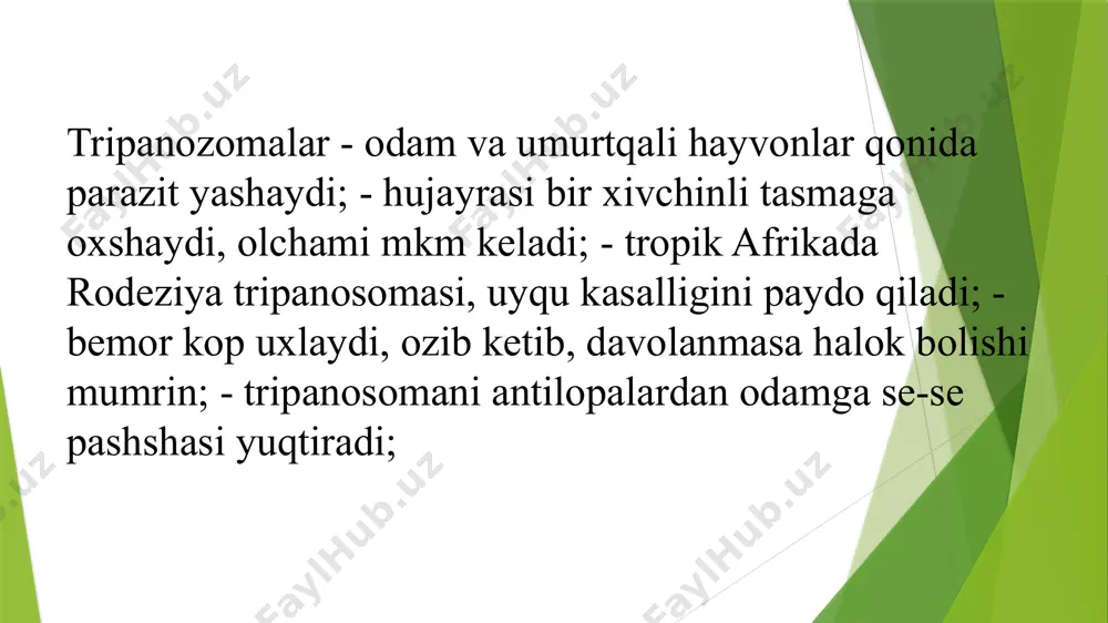 tibbiy parazitologiya mustaqil ishi - Page 4