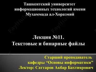 текстовые и бинарные файлы — PPTX