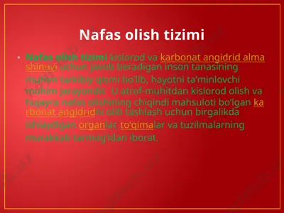 nafas olish tizimi — PPTX