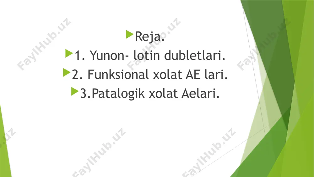 yunon- lotin dubletlari va yakka aelar - Page 3
