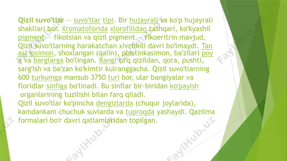 qizil so’v o’tlar bo’limi - Page 3