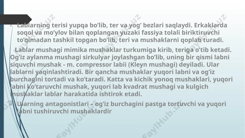 lay murtagi ix va x juft bosh miya nervlari va truncus sympaticus qo’shilishidan hosil bo’lgan plexus pharyngeus orqali innervasiyalanadi. undan tashqari n. maxillaris-dan chiquvchi n. palatini va n.nasopalatinus-lar innervasiyalaydi. yumshoq tanglay mushaklari adashgan nerv tolalari orqali innervasiya qilinadi. burun tanglay nervi (n. nasopalatinus, skarp nervi ) burun to’sig’idan o’tib, kesuvchi tishlar kanali (stenon kanali) orqali og’iz bo’shlig’iga o’tadi va qattiq tanglay oldingi qismi shilliq pardasini innervasiya qiladi. qanot-tanglay tugunidan qattiq va yumshoq tanglayga boruvchi tanglay nervlari chiqib, tanglay kanali orqali og’iz bo’shlig’iga tushadi. katta tanglay nervi og’iz bo’shlig’iga katta tanglay teshigi orqali o’tadi va yumshoq tanglay shilliq qavatini, qattiq tanglay orqa sohasini va yuqori jag’ milkini innervasiyalaydi. kichik tanglay nervi og’iz bo’shlig’iga kichik tanglay teshigi orqali o’tib, yumshoq tanglay shilliq qavatini innervasiyalaydi. og’iz bo’shlig’i tubi chegaralari: old va yon tomondan – pastki jag’ alveolyar o’siqlari, orqadan – tilning pastki yuzasi orqa erkin qirrasi.og’iz bo’shlig’i tubini tilning pastki yuzasidan pastki jag’ …
