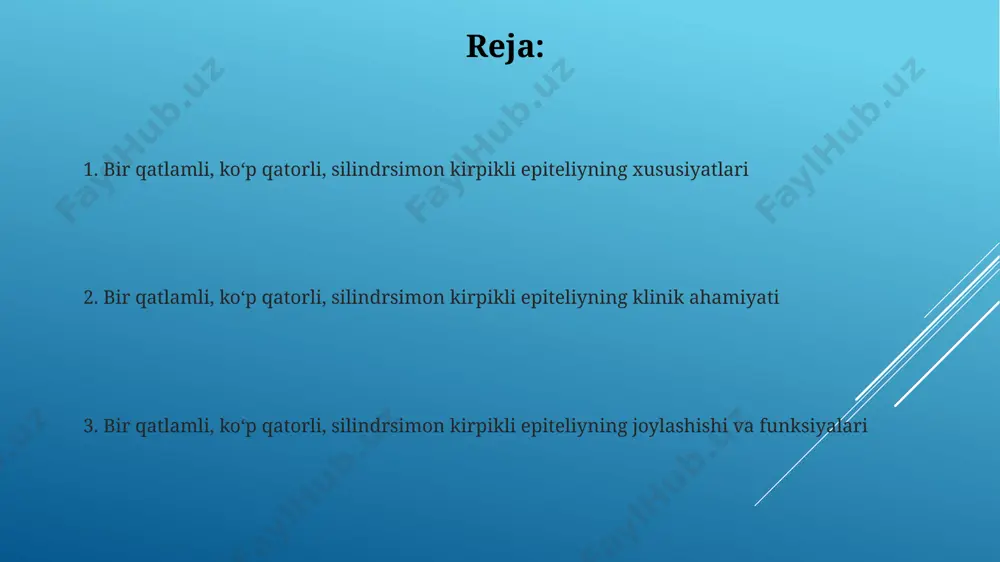 tdagi elektron mikroskop ostida kuzatilgan. mikroskopik tekshiruvda, silindrsimon epiteliy hujayralari 100x kattalashtirishda aniq ko'rinadi, ularning uzunligi 30-50 mkm, samarqand tibbiyot instituti laboratoriyalarida olingan namunalarda. sekresiya funktsiyasi yopiq hujayrali silindrsimon kirpikli epiteliyning sekretsiya funksiyasi nafas yo'llarining 150 dan ortiq turdagi mukus sekretsiyasini ishlab chiqarishda muhim rol o'ynaydi, masalan, bronxlarda. sekretsiya jarayonida 20 ga yaqin turdagi glikoproteinlar, o'z ichiga olib, mukosiyalarning yopishqoqligiga ta'sir etuvchi, braziliya tadqiqotlarida aniqlangan. himoya funktsiyasi yiringli yallig'lanish jarayonlarida, masalan, o'rta quloq yallig'lanishi (otit)da, 200 dan ortiq silindrsimon kirpikli epiteliy hujayralari shikastlanishi kuzatilib, himoya funksiyasi sezilarli darajada pasayadi. nafas yo'llarida, taxminan 300 mikrometrli diametrli bronxiolarda joylashgan silindrsimon kirpikli epiteliy, chang zarrachalari va bakteriyalarni o'pka to'qimasidan tashqariga chiqarishda muhim rol o'ynab, himoya funksiyasini ta'minlaydi. uyali birikmalar o'pka alveolalarining ichki yuzasini qoplaydigan yagona qatlamli, ko'p qatorli, silindrsimon kirpikli epiteliy 200 dan ortiq turli xil hujayralarni o'z ichiga oladi, ularning har biri o'ziga xos funksiyani bajaruvchi taxminan 30 ta maxsus organellaga ega. …