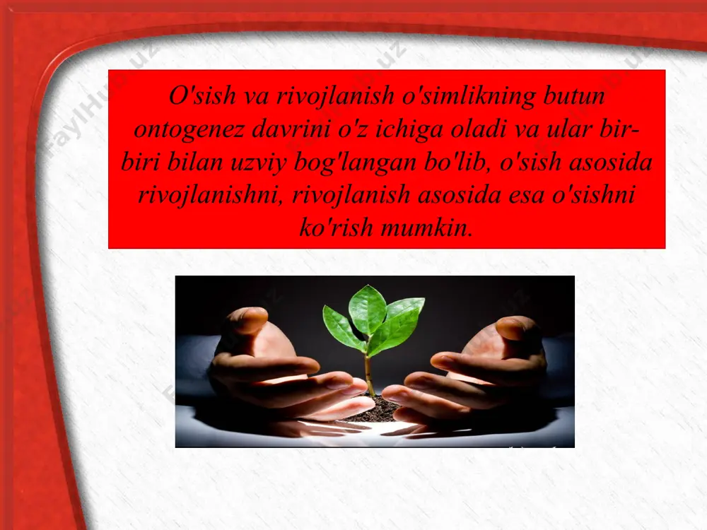 urug'larni unishi urug'laming bo'kishi va nish urishida asosiy o'rinni mrnk egallaydi. bular murtakning shakllanishi va yetilishi paytida zahira sifatida yig'ilgan rnk molekulalaridir. o'simliklaming qorong'ulikda geterotrof o'sishi foydalaniladigan adabiyotlar: 1. burigin v. a., jongurazov f. x. botanika. toshkent, “o‘qituvchi”, 1977. 2. kursanov a. va boshqalar. botanika. toshkent o‘rta va oliy maktab davlat nashriyoti. 1963. 3. mustafayev s. m. botanika. toshkent, “o‘zbekiston”, 2002. 4. sahobiddinov s. s. o‘simliklar sistematikasi. toshkent, “o‘qituvchi”, 1976. image10.jpeg image11.jpeg image12.jpeg image13.jpeg image14.jpeg image15.jpeg image16.jpeg image17.jpeg image18.png image19.jpeg image1.jpeg image2.jpeg image3.jpeg image4.jpeg image5.jpeg image6.jpeg image7.jpeg image8.jpeg image9.jpeg
