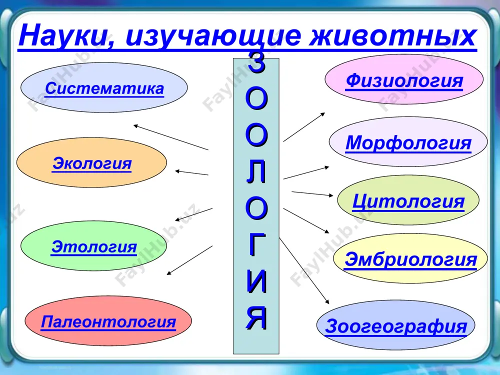 зоология - Page 3