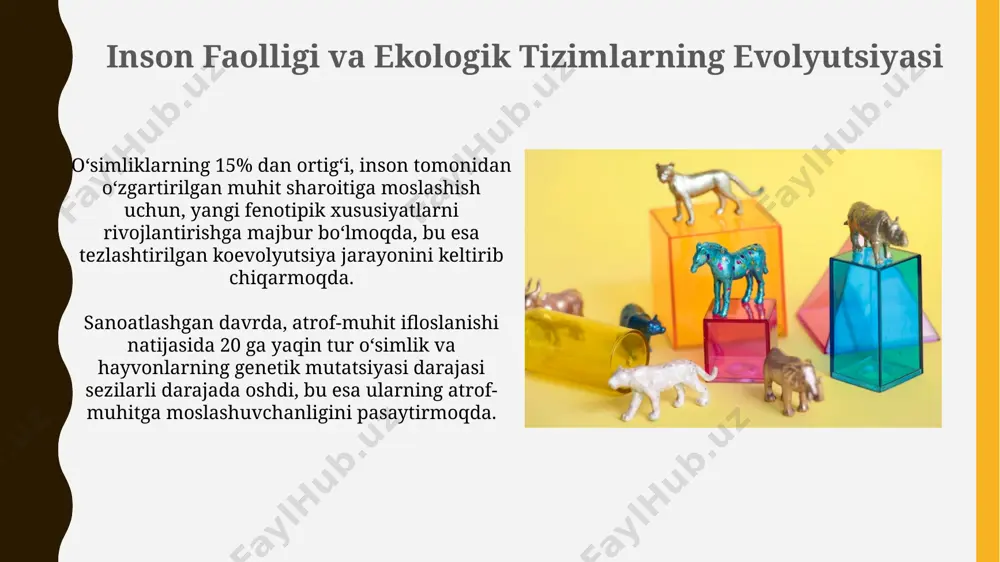 koevolyutsiya va environmentalizm dialektikasi - Page 4
