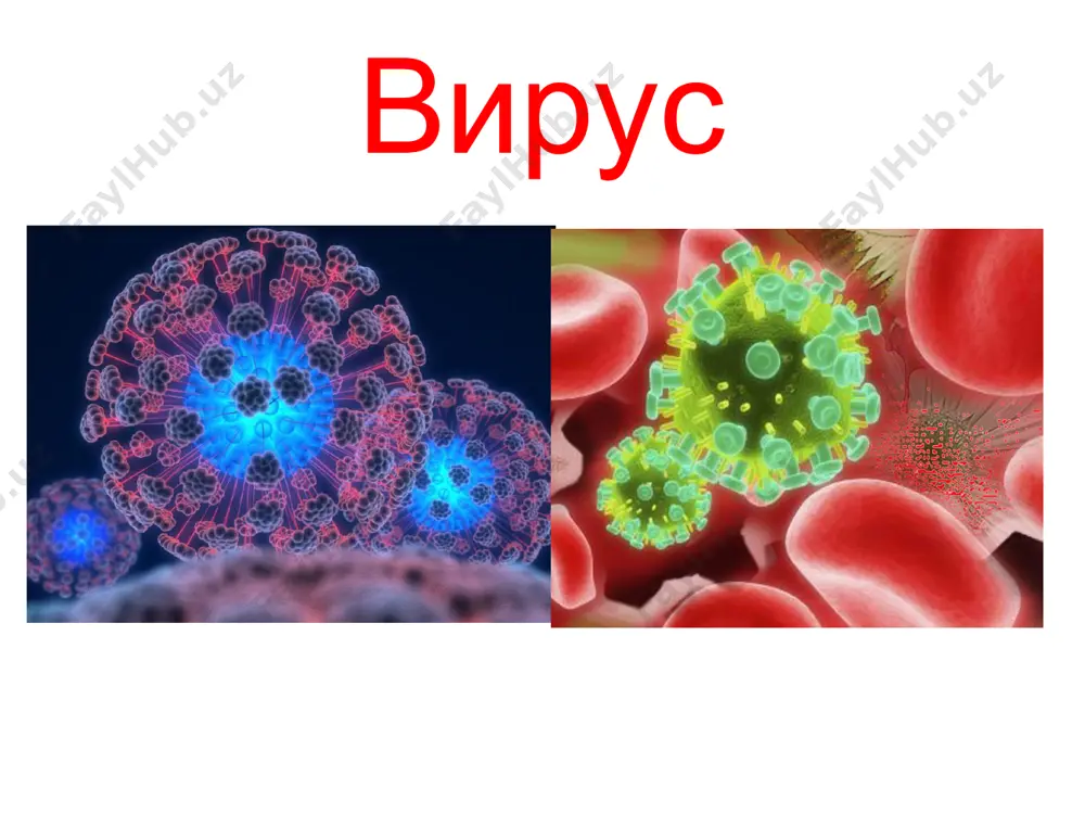 ги вазият 1987 йилда биринчи марта чет эл фуқаросида аниқланган. жорий йил бошида 15 892 нафар одам оив билан рўйхатга олинган. жами оив юқтирганларнинг 70 фоизини эркаклар ташкил қилади. энг кўп тарқалган ёш - 20 ёшдан 49 ёшгача. www.arxiv.uz www.arxiv.uz 1 декабрь 1988 йилда жсст томонидан дунё бўйича 1 декабр оитсга қарши кураш куни деб эълон қилинди. www.arxiv.uz www.arxiv.uz оив билан касалланган одамларни камситмаслик яшашга ҳуқуқим бор умумий имкониятлар ва инсон ҳуқуқлари мени қабул қилишяпти менга ғамҳўрлик кўрсатяптилар ҳар бир инсоннинг ҳуқуқи сақланиши лозим яша ва бошкаларнинг ҳам яшашига имконият бер соғлом бўлиш ҳуқуқи мен ўзимни ҳуқуқларимдан фойдалан моқдаман мен ўзимни яхши ҳис қилмоқдаман мен даволанмоқдаман www.arxiv.uz www.arxiv.uz қизил лента 1991 йилда рассом франк мур ўйлаб топган кизил лентани оитс билан курашиш белгиси ва «visual aids» гуруҳи томонидан қабул қилинган ҳамдардлик, қўллаб- қувват лаш ва келажакда оитссиз яшаш учун ишонч рамзи. www.arxiv.uz www.arxiv.uz қизил лентани 6 сантиметр узунликда кесилади, юқори …