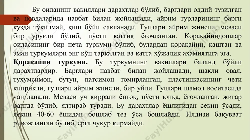 илган мева, 6-қобиқли мева, очилган мева, 7-очилган меваси, 8-уруғнинг кўндаланг кесими, 9-барг куртакли новда, 10-гул куртаги. ўрмон корақайини баландлиги 30-50 м ли, шох-шаббаси катта, тухумсимон, барглари овал ёки тухумсимон шаклдаги дарахтдир. мевасининг ўрамасида дағал туклар бор, уларнинг узунлиги ўрама билан тенг. ўрмон коракайини украинанинг ғарбий вилоятларида, белоруссияда ва кримда ўрмонзорлар ҳосил қилади. ғарбий европада хам кўп учрайди. у эман, оққарағай билан биргаликда аралаш ўрмонлар ёки соф қоракайинзорлар ҳосил қилади. тоғли вилоятларда денгиз сатҳидан 1300-1500 м гача баландликда учрайди. соясевар дарахт ўсимлик ҳисобланади. қоракайиннинг ёғочи сифатли бўлиб, юқори баҳоланади. у санкт-петербург, москва, харьков ва киев хамда бошка россия шахарларида кўплаб кўкаламзорлаштириш максадларида экилган. жуда хушманзара дарахт бўлганлигидан паркларга ва йўл чеккаларига экиш тавсия этилади. барглари овал шаклда, туби понасимон, мева ўрамаси дағал тукли. ёнгоклари майда. илдизидан бачкилайди. шарк коракайини кавказда, кичик осиёнинг шимолида, болқон ярим оролининг шарқида тарқалган. тоғли ҳудудларда денгиз сатҳидан 2300 м гача баландликларда ўсади. тоғларнинг юкори яйлов зонасида …