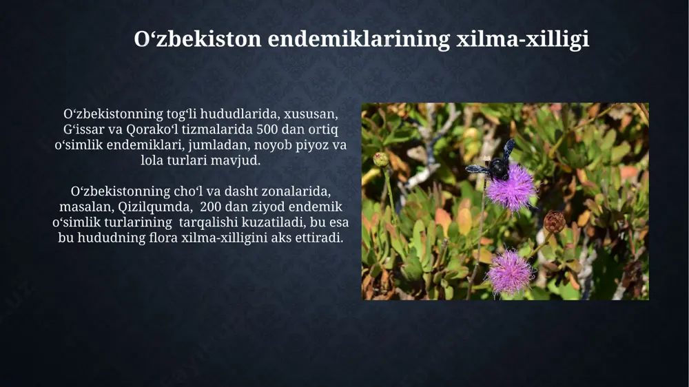 o'zbekiston florasidagi endemik turlar - Page 3