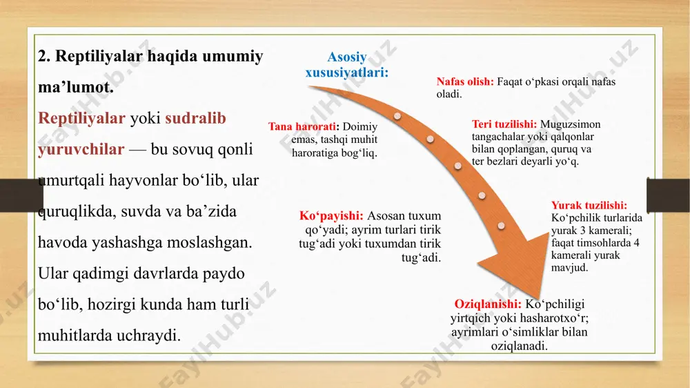 qizilkitobga kiritilgan reptiliyalar - Page 5