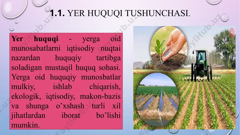 yer huquqi tushunchasini o’rganish - Page 4