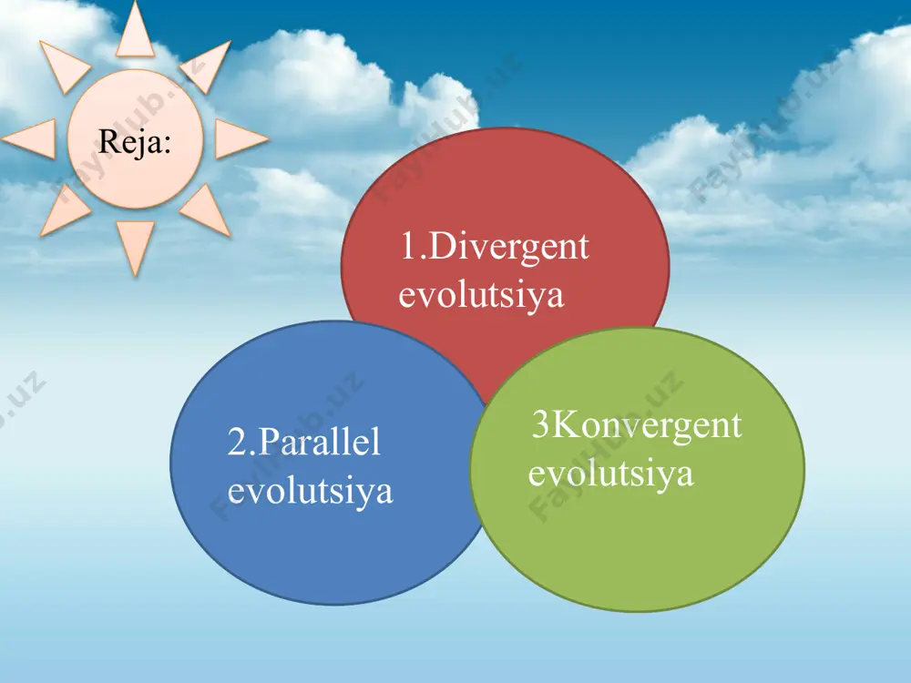 evolutsion o’zgarishlarining tiplari - Page 3