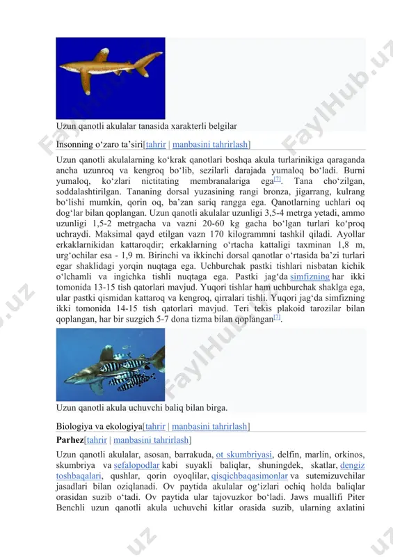 004-yilda ushbu turdagi akula shvetsiyaning gʻarbiy qirgʻogʻida, taxmin qilingan shimoliy chegarasidan ancha uzoqda ushlangan. 2013- yilda britaniya suvlarida uzunligi taxminan 4 m va ogʻirligi 300 kg dan ortiq uzun qanotli akula koʻrilgani haqida xabarlar bor edi[6]. akulalar koʻp vaqtini okeanning yuqori qatlamida 150 metrgacha chuqurlikda oʻtkazadilar va qirgʻoqdan biroz masofada turishni afzal koʻradilar. uzun boʻyli kemalardan olingan maʼlumotlarga koʻra, yerdan qanchalik uzoq boʻlsa, shunchalik uzun qanotli akulalar uchrashadi[7]. biroq, baʼzida ular qirgʻoqqa yaqinlashib, sayoz suvda suzadilar. qoida tariqasida, uzun qanotli akulalar yolgʻiz turmush tarzini olib boradilar, garchi oziq-ovqat toʻplangan joylarda ular suruvlarda toʻplanishi mumkin. bu turning sutkalik sikli yoʻq va kechayu kunduz faol boʻladi[7]. akulalar sekin suzadi, koʻkrak qanotlari choʻziladi. ularga koʻpincha baliq - uchuvchilar, yopishqoq baliqlar va delfinlar hamroh boʻladi[7]. oxirgi haqiqat ajablanarli, chunki yirtqichlar koʻpincha bu oltin-yashil baliqlarni yeyishadi[8]. 1988-yilda uzun qanotli akulalar uchuvchi kitlar hamrohligida kuzatilgan[9]. https://uz.wikipedia.org/wiki/korvet https://uz.wikipedia.org/wiki/tuamotu https://uz.wikipedia.org/wiki/uzun_qanotli_akula#cite_note-itis-3 https://uz.wikipedia.org/wiki/tur_(biologiya) https://uz.wikipedia.org/wiki/uzun_qanotli_akula#cite_note-4 https://en.wiktionary.org/wiki/ru:%d0%bf%d1%80%d0%b8%d0%be%d1%80%d0%b8%d1%82%d0%b5%d1%82 https://uz.wikipedia.org/w/index.php?title=uzun_qanotli_akula&veaction=edit&section=2 https://uz.wikipedia.org/w/index.php?title=uzun_qanotli_akula&action=edit&section=2 https://uz.wikipedia.org/wiki/uzun_qanotli_akula#cite_note-baum-5 https://uz.wikipedia.org/wiki/geografik_koordinatalar https://uz.wikipedia.org/wiki/shvetsiya …