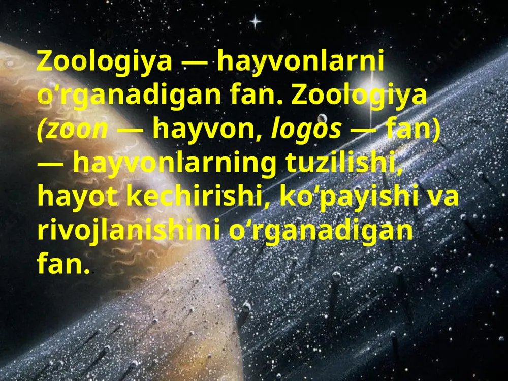 zoologiya fanidan taqdimoti - Page 3