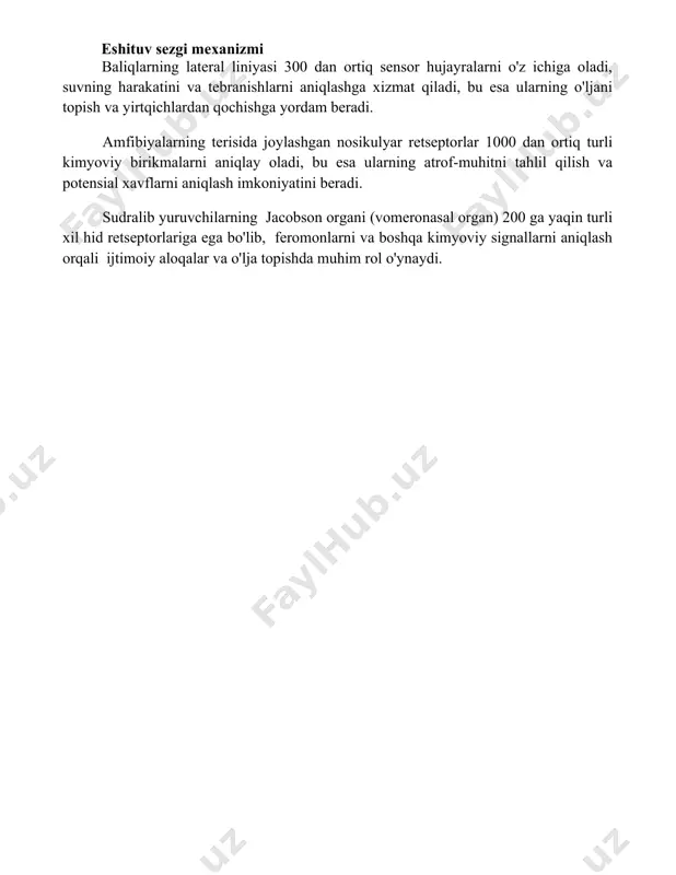 shga xizmat qiladi, bu esa ularning o'ljani topish va yirtqichlardan qochishga yordam beradi. amfibiyalarning terisida joylashgan nosikulyar retseptorlar 1000 dan ortiq turli kimyoviy birikmalarni aniqlay oladi, bu esa ularning atrof-muhitni tahlil qilish va potensial xavflarni aniqlash imkoniyatini beradi. sudralib yuruvchilarning jacobson organi (vomeronasal organ) 200 ga yaqin turli xil hid retseptorlariga ega bo'lib, feromonlarni va boshqa kimyoviy signallarni aniqlash orqali ijtimoiy aloqalar va o'lja topishda muhim rol o'ynaydi. 📌xulosa umurtqali hayvonlarning sezgi mexanizmlari murakkab va o'zaro bog'liq bo'lib, atrof-muhit bilan o'zaro ta'sirini ta'minlaydi va ularning omon qolishida muhim rol o'ynaydi. har xil retseptorlar turli stimullarni aniqlab, hayvonlarga moslashish va reaksiya berish imkonini beradi. 📚foydalanilgan adabiyotlar 1. prosser, c. l. (1973). comparative animal physiology. w.b. saunders. 2. schmidt-nielsen, k. (1997). animal physiology: adaptation and environment. cambridge university press. 3. hill, r. w., wyse, g. a., anderson, m. (2012). animal physiology. sinauer associates. 4. starr, c