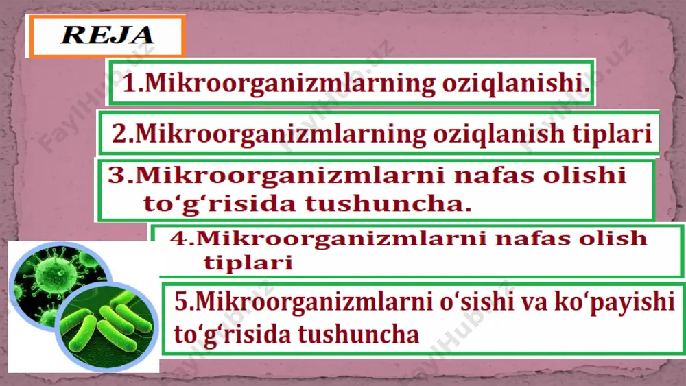 oziqa muhitlarida, mikroorganizm hujayrasini qurishi uchun kerak bo‘lgan hamma elementlar, mikroorganizm o‘zlashtiradigan oziqa moddalarning mikroorganizm hujayrasiga kirishi. holatda bo‘lishi kerak. suvda erigan oziqa moddalari bakteriya hujayrasiga har xil usullar yordamida kiradi. hujayraga ularning o‘tishida hujayra devori barerlik vazifasini bajarsa, sitoplazmatik membrana aktiv tanlovchi rolini o‘ynaydi. oziqlanish tipiga ko‘ra, mikroorganizmlar juda xilma-xil guruhlarga bo‘linadi va quyidagi atamalar bilan nomlanadi: geterotroflar – faqat tayyor organik birikmalardan uglyerod manbalari sifatida foydalanadi. geterotroflar (organotrof) ikkita katta guruhga bo‘linadi: 1.saprofitlar. (metatrof) 2.parazitlar (paratrof) mikroorganizmlarning oziqlanish tiplari geterotroflar (organotrof) ikkita katta guruhga bo‘linadi: parazit (parasitos) lotincha so‘z bo‘lib, boshqa tirik organizmlarning sathida yoki ichida yashab, shu tirik organizm hisobidan oziqlanadi. saprofit – (sapros - chirish va phyton- o‘simlik) lotincha so‘z bo‘lib, o‘lgan substratlarda yashaydi, degan ma’noni bildiradi. tayyor organik birikmalardan foydalanadi va yer yuzidagi mikroorganizmlarning ko‘pini tashkil qiladi. ‹#› avtotrof (o‘z-o‘zini ovqatlantiruvchi) tipida ovqatlanish kerakli energiyani va uglerodni organik moddalardan o‘zi oladigan mikroorganizmlarga xosdir. bularga tuproqdagi …
