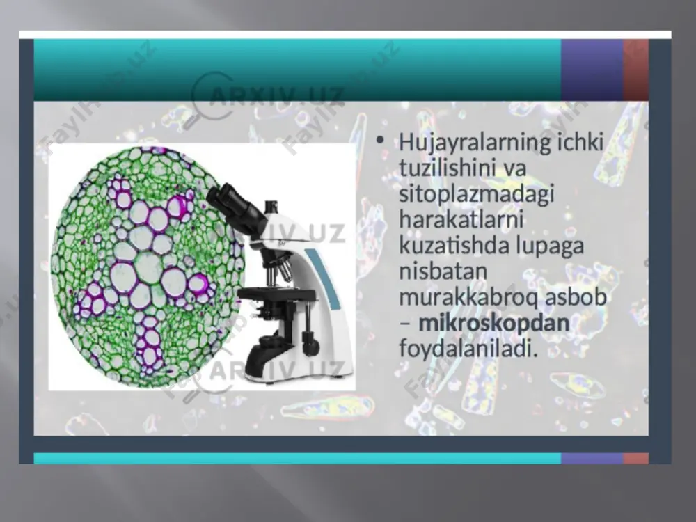 mikroskopning optik sistemalari va kattalashtirish darajasi - Page 5