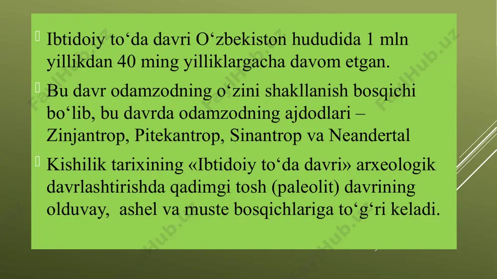 joy tumanidagi aydarken shahrining g'arbiy chekkasida, farg'ona vodiysida, eshme-too tizmasining etagida joylashgan. selynqur g'ori dengiz sathidan 30-40 metr balandlikda joylashgan. balandligi taxminan 25 m, kiraverishda kengligi 20 m, ichkarisi 50 m. 1955 yilda tadqiq qildi. 1964 yilda g'or o'zbekiston ssr fanlar akademiyasi farg'ona arxeologik otryadi tomonidan tekshirilgan. 1980 yildan boshlab utkur islomovich islomov rahbarligida muntazam qazish ishlari olib borildi. 2014-2016 yillarda arxeologik qazishmalar "rossiya-qirg'iziston-germaniya" xalqaro ekspeditsiyasi tomonidan olib borildi. 1980-yillarda selungur g'orida yaxshi saqlanib qolgan bosh suyagi topilgan, keyinchalik bosh suyagining parchalari, elka suyagi va tishlari (3 ta yuqori va 3 ta pastki ) topilgan. beshta tish 35-40 yoshli erkakka tegishli, bitta tish ayolga. ilgari 1 million yil deb belgilangan. keyinchalik tishlar va elka suyagi 126 ming yil oldin deb rus tadqiqotchilari tomonidan aniqlangan. teshik-tash g'orda topilgan neandertalning bosh suyagi dengiz sathidan 1550 metr balandlikda, tog'larning tepasidan qarshi dashtini va derbent qishlog'iga olib boradigan katta yo'lni ko'rish mumkin. g'orning madaniy …