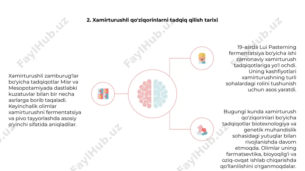 rida qo'llaniladi, bu ularni ko'plab mahsulotlarning muhim tarkibiy qismiga aylantiradi. non, pivo va boshqa fermentlangan mahsulotlar ishlab chiqarishda xamirturush pishirishdan tortib to pivo tayyorlashgacha bo'lgan davrda asosiy rol o'ynaydi. oziq-ovqat va ichimliklar sanoatidan tashqari, xamirturush qo'ziqorinlari farmatsevtika va bioyoqilg'i ishlab chiqarishda qo'llaniladi. xamirturushning shakarni samarali fermentatsiyalash qobiliyati uni dorivor va energiya sohalarida qimmatli manbaga aylantiradi. xamirturush zamburug'larining ko'p qirraliligi an'anaviy foydalanishdan tashqarida, biotexnologiya va tadqiqotlarda yangi ilovalar mavjud. uning genetik manipulyatsiyasi va tez o'sishi xamirturushni turli ilmiy tadqiqotlar va yutuqlar uchun jozibali nomzodga aylantiradi. 11. xamirturushli zamburug'lar va fermentatsiya 1,2,3 saccharomyces deb ham ataladigan xamirturushli qo'ziqorinlar fermentatsiya jarayonida hal qiluvchi rol o'ynaydi. ular shakarni alkogol va karbonat angidridga aylantirish qobiliyatiga ega. fermentatsiya - bu tabiiy jarayon bo'lib, u asrlar davomida non, pivo va vino ishlab chiqarishda qo'llaniladi. xamirturushli qo'ziqorinlar ushbu mahsulotlarning o'ziga xos ta'mi va tuzilishi uchun javobgardir. fermentatsiyada xamirturushli qo'ziqorinlardan foydalanish nafaqat oziq-ovqat ishlab chiqarish, balki farmatsevtika va bioyoqilg'i …