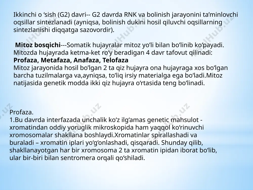 xromosomalarning xromatidalarga ajralishi bilan qayta yadro qobig'i hosil boiadi. natijada xromosoma soni ona hujayranikiga nisbatar 2 marta ortgan poliploid hujayra hosil boiadi. bu jarayonga endomitoz deyiladi. poliploid hujayraning o ‘zi xuddi shunday jarayonni qayta o‘tab xromosoma sonini yana ham orttirib olishi mumkin. ba’zan mitoz jarayonining oxirgi davrida qutblangan xromosomalar atrofida alohida yadrolar hosil boiadi-yu, lekin sitokinez kechmaydi. buning oqibatida ikki yadroli (har bir yadrosidagi xromosomasoni ona hujayrasiga teng bo’lgan,diploid) hujayra paydo bo’ladi. image1.png image2.png /docprops/thumbnail.jpeg