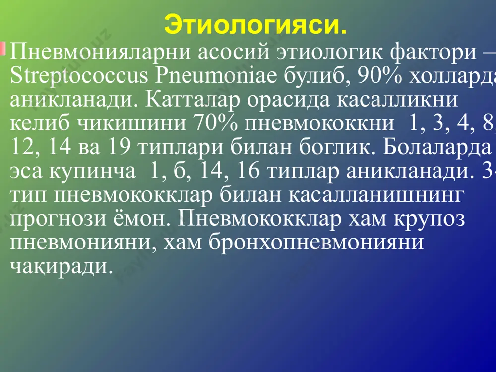 ит ва перикардит, гематоген тарқалишда эса метастатик абсцесслар бош мияда юзага келади, йирингли менингит, ўткир ярали ва полипоз-ярали эндокардит, йирингли артрит, перитонит ва бошқалар ривожланади. ўлим сабаби крупоз пневмонияда ўлим ўткир ўпка-юрак етишмовчилигидан ёки йирингли асоратлардан юзага келади. бронхопневмония бронхопневмония, ёки ўчоқли пневмония, ўпка паренхимасида ўчоқли ўткир яллиғланишли жараён бўлиб, ўлчамлари ацинусдан сегмент катталигигача бўлади ва бронхиолаларни зарарланиши билан характерланади. касалликни ривожланишига бронх деворидаги яллиғланишлар сабаб бўлиб, бронхопневмония ўчоқлари билан биргаликда аниқланади. ўткир пневмонияларни 2/3 қисмини ташкил этади ва патогенези бўйича иккиламчи хисобланади. этиологияси турлича. бронхопневмониянинг турлари бронхопневмониялар аспирацион, гипостатик ва операциядан кейинги турларга бўлиниб, аутоинфекцияни активлашуви билан боғлиқ. охириги йилларда касалхона ичи инфекциялари, оппортунистик инфекциялар катта ахамиятга эга бўлмоқда. патологик анатомияси қўзғатувчининг турига боғлиқ. буларга майда бронх атрофида яллиғланиш ўчоғини, бронхит ва бронхиолитларни ривожланиши ва бошқалар киритилади. бронх деворларида яллиғланиш инфильтратлари аниқланади. альвеолалар ва бронхларда экссудат тўпланади. экссудат серозли, йирингли, геморрагик, ва аралаш характерга эга бўлади. бронхопневмония бронхопневмония бронхопневмония …