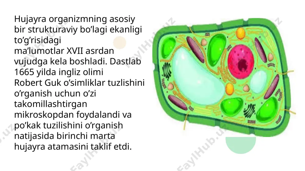 hujayraviy ta’limotning rivojlanish tarixi - Page 2