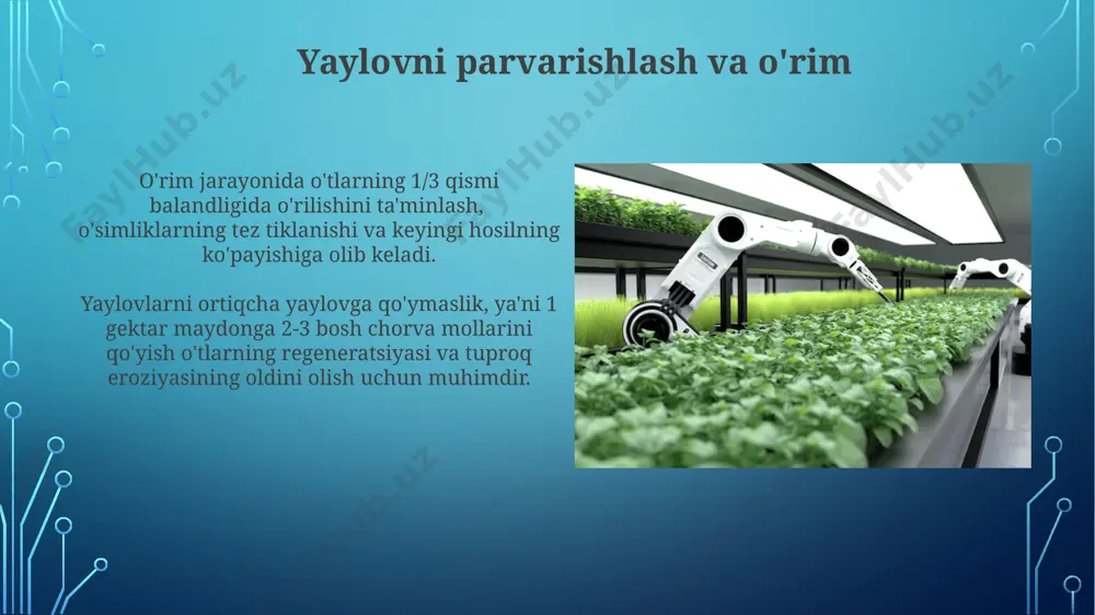 maytirish uchun, o'tlarning turli xil turlarini ekish va o'tloqlarning o'g'itlanishini yaxshilash kerak. zararkunandalarga qarshi kurashda biologik usullar, masalan, foydali hasharotlarni qo'llash, kimyoviy usullarga nisbatan 30% kam xarajat talab qiladi va atrof muhitga zarar yetkazmaydi. o'tlarni tanlash va urug'ini tayyorlash o't urug'larini ekishdan oldin, ularning unib chiqish qobiliyatini tekshirish va 85% dan yuqori bo'lmagan namlik darajasiga ega bo'lishini ta'minlash kerak. urug'larni tayyorlashda, 1 gektar maydon uchun zarur bo'lgan miqdorni aniqlash va ularni ekishdan oldin zararkunandalarga va kasalliklarga qarshi himoya qilish choralari ko'rish muhim ahamiyatga ega. e'tiboringiz uchun rahmat @taqdimot_robot image3.jpg image4.jpg image5.jpg image6.jpg image7.jpg image8.jpg image9.jpg image10.jpg image11.jpg image12.jpg image13.jpg image14.jpg image15.jpg image16.jpg image17.jpg image18.jpg image19.jpg image2.png