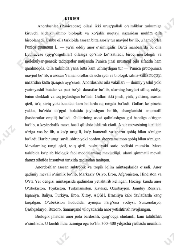 o‘lib, u ko‘p urug‘li, ko‘p kamerali va charm qobiq bilan o‘ralgan bo‘ladi. har bir urug‘ suvli, shirin yoki nordon-shezztamsimon qobiq bilan o‘ralgan. mevalarning rangi qizil, to‘q qizil, pushti yoki sariq bo‘lishi mumkin. meva tarkibida ko‘plab biologik faol moddalarning mavjudligi, ularni qimmatli mevali daraxt sifatida insoniyat tarixida qadimdan tanitgan. anordoshlar asosan subtropik va tropik iqlim mintaqalarida o‘sadi. anor qadimiy mevali o‘simlik bo‘lib, markaziy osiyo, eron, afg‘oniston, hindiston va o‘rta yer dengizi mintaqasida qadimdan yetishtirib kelingan. hozirgi kunda anor o‘zbekiston, tojikiston, turkmaniston, kavkaz, ozarbayjon, janubiy rossiya, ispaniya, italiya, turkiya, eron, xitoy, aqsh, braziliya kabi davlatlarda keng tarqalgan. o‘zbekiston hududida, ayniqsa farg‘ona vodiysi, surxondaryo, qashqadaryo, buxoro, samarqand viloyatlarida anor yetishtirish rivojlangan. biologik jihatdan anor juda bardoshli, qurg‘oqqa chidamli, kam talabchan o‘simlikdir. u kuchli ildiz tizimiga ega bo‘lib, 300–400 yilgacha yashashi mumkin. sovuqqa chidamliligi nisbatan past bo‘lsa-da, quruq va issiq iqlimda ajoyib hosil beradi. anor o‘zining tuproq tanlamasligi, kam parvarish talab etishi bilan ekin …