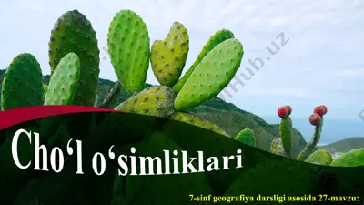 o‘rta osiyo cho‘l o‘simliklari 7-sinf — PPT