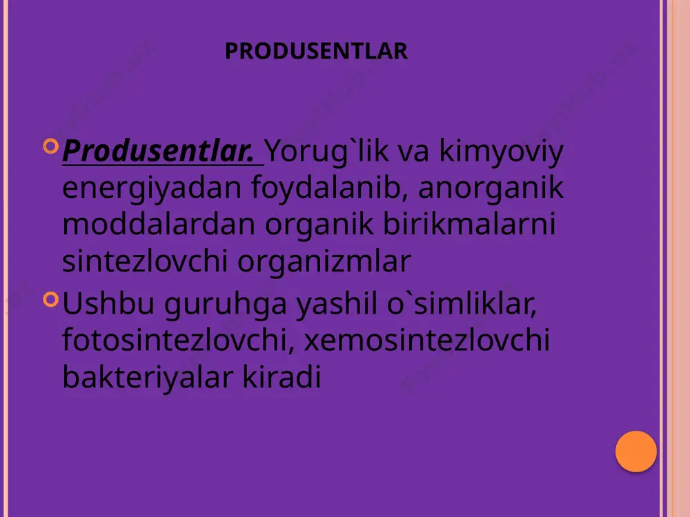 "ekotizimlarning trofik darajasi" - Page 5
