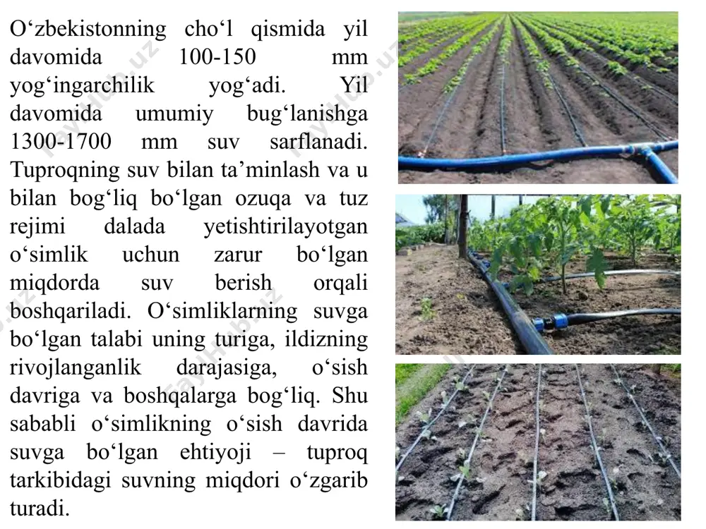 avrlaridagi talabiga qarab taqsimlanishi tushuniladi. ekinlarning sug’orish tartibi quyidagilarga bog’lik: 1. iqlim-sharoit (harorat, yog’ingarchilik miqdori va uning fasllariga qarab taqsimlanishi, havo namligi, bug’lanish jadalligi, shamol, uning tezligi va yo’nalishi). 2. tuproq holati (mexanik tarkibi, tuzilishi, suv - fizik xossalari, sho’rlanish darajasi). 3. gidrogeologik sharoitlar (yer osti suvlarining chuqurligi, sho’rlanganlik darajasi va x.k.). 4. xo’jalik-iqtisodiy sharoitlar (qullanilayotgan agrotexnika tarkibi va sifati, tuproq unumdorligi, rejalashtirilgan hosildorlik va x.k.). ekinlarning o’sib-rivojlanish davrida berilgan suv miqdori mavsumiy, bir marotaba beriladigan suv miqdori sug’orish meʼyori deyiladi. mavsumiy sug’orish meʼyori har gal sug’orishda dalaga beriladigan suv miqdorining yig’indisiga teng bo’ladi: m = m1 , + m2 , + m3 , + ... m4 . bunda: m — mavsumiy sug’orish meʼyori, m3/ga; m1, m 2, m 3, ... m n — har galgi sug’orish meʼyorlari, m3/ga. mavsumiy sug’orish meʼyori o’simlikning rivojlanish davrlariga va gidromodul rayondagi sug’orish tartibiga qarab taqsimlanadi. har bir gidromodul rayonda har qaysi ekin uchun …