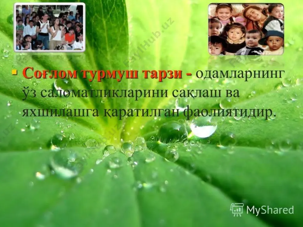 31 май – халқаро кашандаликка қарши курашиш куни - Page 4