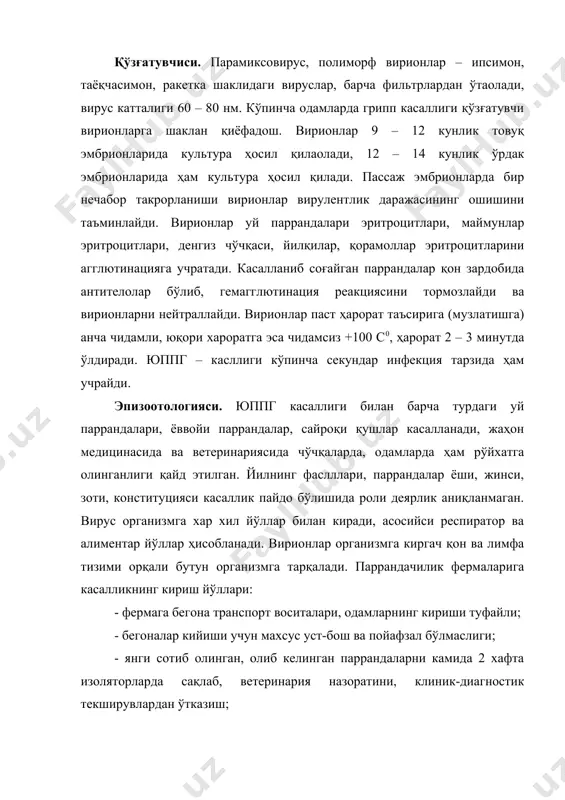 узоқроқ давом этади. иммунитети йўқ паррандаларда касаллик оғир кечади, бу ҳолат ёш паррандаларда деярлик 100 % намоён бўлади. нафас қийинлашади, тож ва сирғалари шишиб кўкаради, (веноз гиперемия), оёқ бўғимлари шишиб кетади, парранда оёғида тик тураолмайди. касаллик 3-4 кун ичида ўлим билан тугайди. асабий тизим ўзгариши туфайли оёқ ва қанотлар, бўйин фалажланади. тухумдан қолади, ҳолсизланади, кўзини юмиб, чўнқайиб қолади. ринит, конъюнктивит, кератит пайдо бўлади, тумшуғидан ёпишқоқ шилимшиқ оқиб туради. касаллик шиддатли, ўткир формада кечганда қалтираш ҳосил бўлиб, парранда 1-2 кунда ўлади. патологоанатомик ўзгаришлар. тожи, сирғалари кўкариб, шишиб кетади, тумшуғидан шилимшиқли суюқлик оқиб туради, бурситлар пайдо бўлиб, бўғимлар деформацияси ҳосил бўлади, шиллиқ пардаларда қон қуйилишлар кузатилади. ринит, конъюнктивит, кератитга ҳос дистрофик ўзгаришлар пайдо бўлади. шиллиқ пардаларда, тери ости клечаткасида, бўйин, кўкракларда шиш ва қон қуйилишлар бўлади. жиғилдонда ҳаво тўпланиб, озиқа ҳазм бўлмагач, у эскириб, тўхтаб қолиш натижасида, ёқимсиз қўланса ҳид чиқиб туради. мускулли ва безли ошқозон чегарасида кучли қон қуйилиш кузатилади. ичаклар …