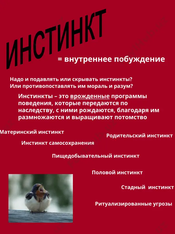 ведения. в таких играх проявляется образ жизни данного вида животного. варианты: «преследователь и преследуемый», «трофейная игра», «оспаривание», «захват объекта», «проба сил», «прятки»… функции: обучение ритуализации разных форм общения в группе игровая сигнализацация эти игры обеспечивают согласованную деятельность партнеров. здесь отрабатываются специфические позы, движения и звуки, оповещающие партнера о готовности к игре и «приглашающие» его принять в ней участие. функции: отрабатываются сигналы, предоствращающие агрессию со стороны соратников, сигналы, позволяющие начинать совместную деятельность ( охота, половые игры