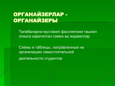 органайзерлар - органайзеры — PPT