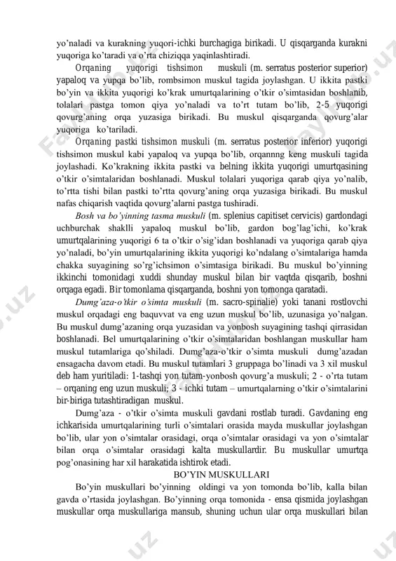 tushishi mumkin. erkaklarda ko’pincha chov grijasi - churra tushishi uchraydi. orqa muskullari orqa muskullari ensa bilan yonbosh suyagi sohasida qavat-qavat bo’lib joylashgan. ular asosan gavdani tik tutib turadi, gavda va yelka kamari harakatida aktiv qatnashadi. ba’zilari ko’krak muskullari bilan birgalikda kurakni qovurg’alarga birlashtiradi. orqaning yuza muskullari t r a p e s i ya s i m o n m u s k u l (m. trapezius) ensadan i bel umurtqalarigacha bo’lgan joyni egallaydigan noto’g’ri to’rtburchak shaklli serbar muskul plastinkadan iborat. bu muskul tashqi ensa do’ngchasi va yuqorigi chiziqdan gardon payi va ko’krakning hamma umurtqalari o’tkir o’simtalaridan boshlanib, o’mrov suyagining akromial uchiga, kurak qirrasiga va akromial o’sig’iga birikadi. bu muskul tolalari turli tomonga yo’nalgan bo’lib, har hil qismi turli vazifa bajaradi. yuqori qismining tolalari bosh va bo’yinni orqaga tortadi yoki kurakning akromial o’sig’ini yuqoriga ko’taradi. o’rta qismining tolalari gorizontal yo’nalgan bo’lib, kurakni o’rta chiziqqa yaqinlashtiradi. bu bilan u kurak ko’krak …