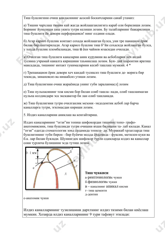 олдикдари эса экскаватор би­ лан олиб ташланади. ж) тиш бушлигини тугри очилганлик мезони -эндодонтик асбоб­ лар барча каналларга тугри, эгилмасдан кириши лозим. 5. илдиз каналларини аниклаш ва кенгайтириш. илдиз каналарининг “огзи”ни топиш шифокордан тишнинг топо- графо-анатомиясини, тиш бушликди тугри очишни яхши билишни та- лаб килади. канал “огзи” одатда стоматологик зонд ёрдамида топила- ди. мураккаб хрлатларда тиш бушлигининг туби бирон - бир буёвчи модда ёрдамида - фуксин, метилен-куки ва б.к. лар билан буялади. шунингдек шифокор турли одамларда илдиз ва каналлар сони турлича булишини эсда тутиш лозим. тиш чуккиси a-рентгенологик чукки б-физиологик чукки в – каналнинг апикал кисми г- тиш цементи д-дентин е-анатомик чукки илдиз каналларининг тузилишини дархтнинг илдиз тизими билан киёслаш мумкин. хозирда илдиз каналларининг 9 тури тафовут этилади: 1 .биринчи шакл. пульпа камераси тубидан бошланиб, то илдиз учигача давом этади.. бундай турдаги илдиз канали марказий курак тишларига хосдир. бундай тишларни даволаш кийинчилик тугдирмайди. 2. иккинчи шакл. илдиз каналлари пульпа камераси …