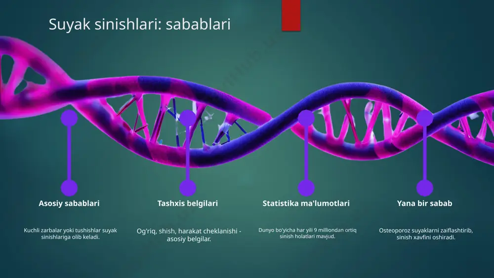 ishi kutilmoqda. davolashda yangi texnologiyalar innovatsion texnologiyalar 3d bosib chiqarish va robototexnika suyak sinishlarini davolashda yordam beradi. reabilitatsiya jarayoni yangi texnologiyalar reabilitatsiya jarayonini tezlashtiradi. nazorat va monitoring bemorlarning holatini nazorat qilish imkoniyatini beradi. kelajak istiqbollari kelajakda sun'iy intellekt suyak sinishlari davolashida qo'llaniladi. operatsion va konservativ davolash operatsion usullar operatsion davolash usullari suyak sinishlarining og'ir holatlarida qo'llaniladi. ushbu usulda jarrohlik aralashuvi orqali suyaklarni tiklash va joyiga joylashtirish amalga oshiriladi. afzalliklari: tezkor natija, og'riqni kamaytirish, funktsionallikni tezda tiklash. kamchiliklari: jarrohlik xavflari, reabilitatsiya jarayonining murakkabligi. konservativ usullar konservativ davolash usullari suyak sinishlari uchun yumshoq yondashuvni ta'minlaydi. bunga gips, fizioterapiya va dorilar kiritiladi. afzalliklari: jarrohlik xavfini kamaytiradi, reabilitatsiya jarayoni sodda. kamchiliklari: davolash jarayoni uzoq davom etishi, natijalar aniq bo'lmasligi mumkin. reabilitatsiya jarayoni suyak sinishlaridan so'ng reabilitatsiya jarayoni bemorning to'liq tiklanishi uchun muhimdir. bu jarayon qattiq to'qimalar va mushaklarning kuchini tiklashga, harakatni yaxshilashga va og'riqni kamaytirishga yordam beradi. reabilitatsiya jarayonining asosiy bosqichlari: - boshlang'ich davr: …