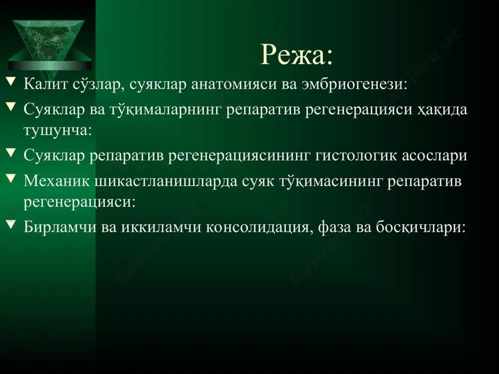 анади, акс холда фибро- ва хондроген турига ўтиб, суякларнинг тоғай моделини шакллантиради. остеогенли оролча, органик суяк матриксининг секрецияси бошланиши, 1-мезенхи-моноцитлар; 2-остеобластлар; 3- остеоидлар; 4-қон-томир суяк тўқимаси гистогенези суяк тўқимаси трабекулалари шакллланади, улар бўйига ва энига катталашиб, ташқи томондан остеобластлар билан, ички томондан эса мезенхима ва қон томирлар билан қопланади. 1-суяк трабекулалари; 2- остеобластлар; 3- остеоцитлар; 4- остеокластлар; 5- қон томирлар; хужайралараро модда бу- суяк матрикси бўлиб, органик (25%), ноорганик (50%) ва сув (25%) дан таркиб топган. органик қисмнинг 95% ва коллаген i типида бўлиб, қолган 5% ноколлаген оқсил ва протеогликанлардан иборат. ноорганик қисм гидроксиапатит хосил қилувчи кальций (35%) ва фосфорни (50%) ўз ичида сақлайди репаратив регенерация нима? репаратив регенерация- бу тўқиманинг хар хил жарохатлардан кейин қайта тикланишидир. репаратив регенерация маълум бир даражада кучайган физиологик регенерациядир (клишов, 1984). хар бир тўқиманинг репаратив регенерацияси ўзига хос хусусиятларга эга бўлиб, бироқ доимо зарарланган хужайранинг нобуд бўлиши, тирик қолган хужайралар пролиферацияси ва уларнинг дифференцияцияси, …