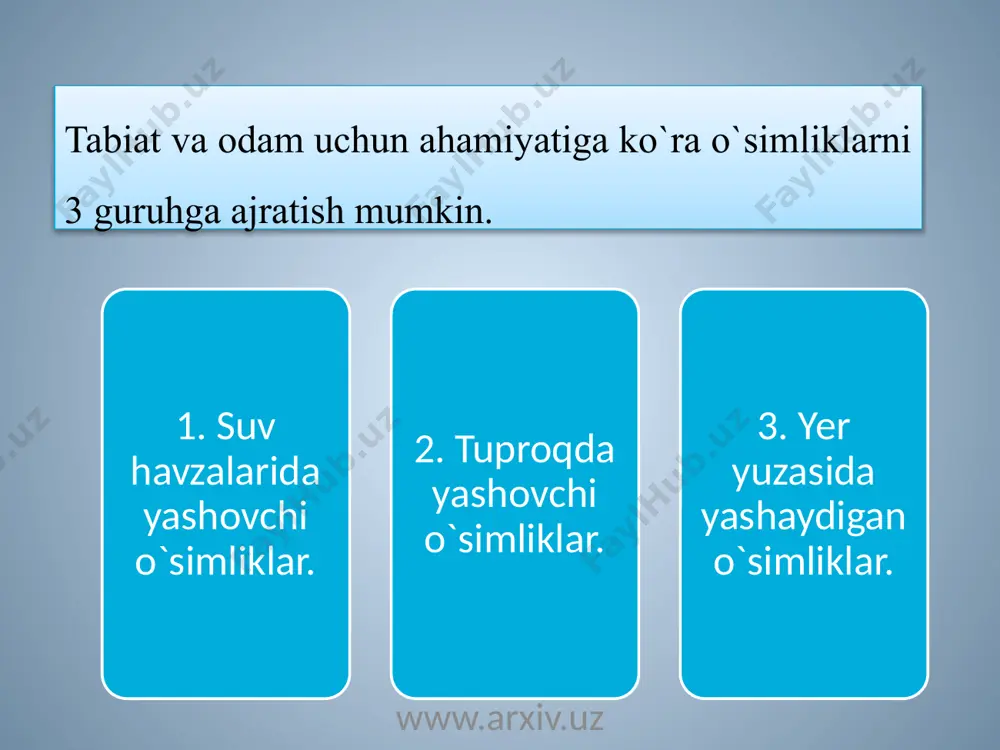 o'simliklar va hayvonot dunyosining ahamiyati - Page 4