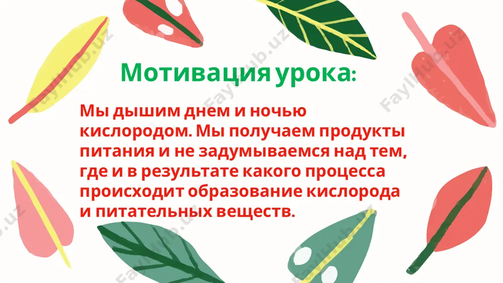 учитель биологии высшей категории - Page 3