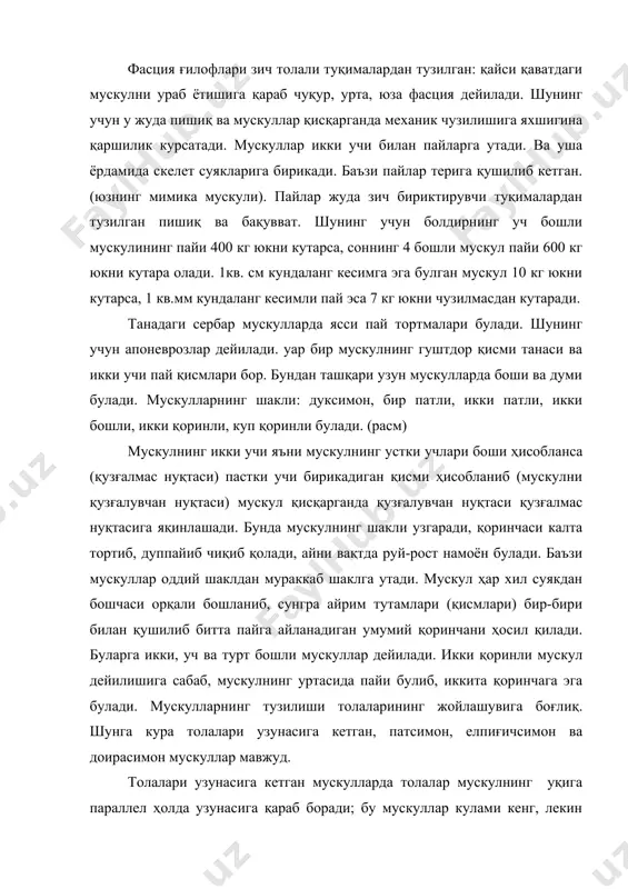 инг жойлашувига боғлиқ. шунга кура толалари узунасига кетган, патсимон, елпиғичсимон ва доирасимон мускуллар мавжуд. толалари узунасига кетган мускулларда толалар мускулнинг уқига параллел ҳолда узунасига қараб боради; бу мускуллар кулами кенг, лекин кучи нисбатан кам буладиган ҳаракатларни бажаради; бундай мускуллар дуксимон ва тасмасимон шаклга эга булади. патсимон мускулларда толалар пайнинг иккала томонида узунасига кетган деярли бутун мускул орқали утадиган уққа нисбатан бурчак остида жойлашган булади. патсимон мускуллар қисқарганида анча кучли ҳаракатларни бажаради. мускулатура рельефи зур бериб таранг тортса, бундай мускул гуё иккига булиниб, худди узунасига кетган мускулдек булиб қолади (масалан, соннинг туғри мускули). елпиғичсимон мускулларда мускул толалари елпиғичга ухшайди. толалар кенггина майдончадан бошланиб, торгина бирикиш жойига елпиғичга ухшаб тушиб келади: бундай мускуллар кучи зур булиши билан ажралиб туради (масалан думбанинг урта мускули). тана мускули умуртқа поғонасига яқин турган булса, унинг боши қул-оёқ мускулининг тепага яқин турган қисми боши ҳисобланади. мускуллар шаклига қараб узун, ясси (сербар), қисқа (калта) булади. узун мускуллар дук …