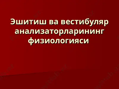 эшитиш ва вестибуляр анализаторларининг физиологияси — PPT
