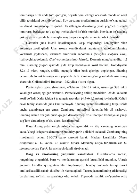 ri tabiiy sharoitda juda kam uchraydi. shuning uchun kasallikning tarqalishida uncha axamiyatga ega emas. zamburug’ mitseliysi daraxtda bir yil yashaydi. shuning uchun xar yili qurib qolgan daraxtlardagi xosil bo’lgan konidiyalar yangi sog’lom daraxtlarga o’tib, ularni kasallantiradi. kasallikning jadal rivojlanishida namgarchilik va iliq xavoning axamiyati katta. yozgi issiq xavo daraxtning butunlay qurib qolishini tezlatadi. zamburug’ning rivojlanishi uchun 21-300s xavo xarorati kerak. mazkur kasallikka ulmus campestris l., u. laevis., u. scahra. turlari, markaziy osiyo turlaridan esa u. pinnatoramosa dieck. lar ancha chidamli xisoblanadi. barg va shoxlarning yuqumsiz kasalliklari. o’simliklarda so’lish, ranggining o’zgarishi, barg va novdalarning qurishi kuzatilishi mumkin. ularda yuqumli kasallik qo’zg’atuvchilari topil-maydi, bunday xollarda tashqi muxit omillari kasallik sabab-chisi bo’lib xizmat qiladi. tuproqda namlikning etishmasligi barglarning so’lishi va qurishiga olib keladi. tuproqda namlik me’yoridan ortiq bo’lib, xavoning kirishi yomonlashsa, ildizlar nobud bo’ladi va chiriydi. ko’pincha ignabargli daraxtlarda yaxshi yog’ochlashishga ulgurmagan (turli kasalliklar ta’sirida) shoxlari past xaroratlar ta’sirida nobud bo’ladi. tuproqda ozuqa …